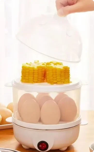 Electric Egg Boiler & Steamer