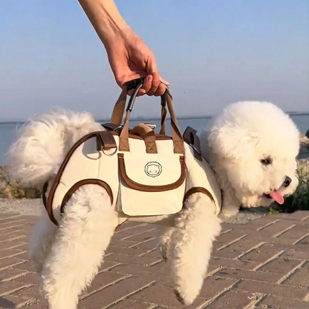 Go-Sling Pet Carrier