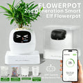Smart Plant Endless Fun Over 49 Rich Expressions